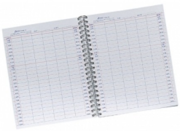 Cameo Appointment Pad #18416 – 16 Column / 4 Month